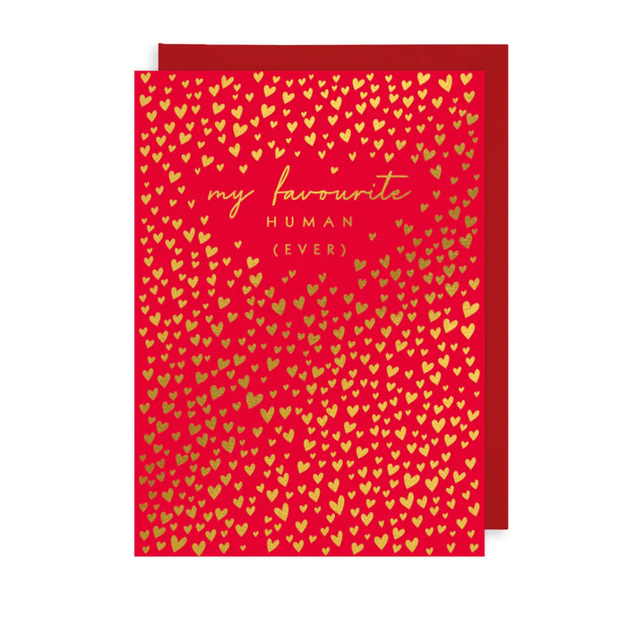 Greeting Card - Valentines Favourite Human