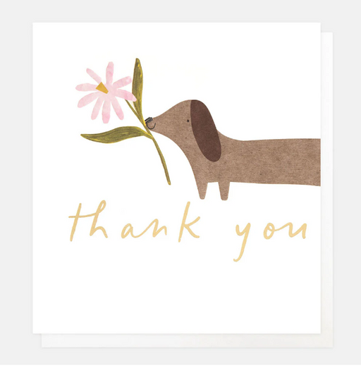 Greeting Card - Thank You Sausage Dog Flower