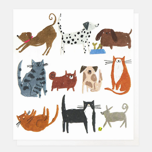 Greeting Card - Blank Mixed Cats and Dogs
