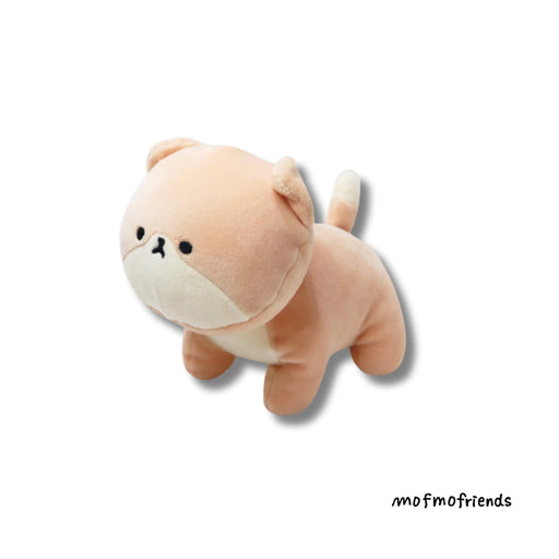 MOFMOFriends - Medium Scottish Fold