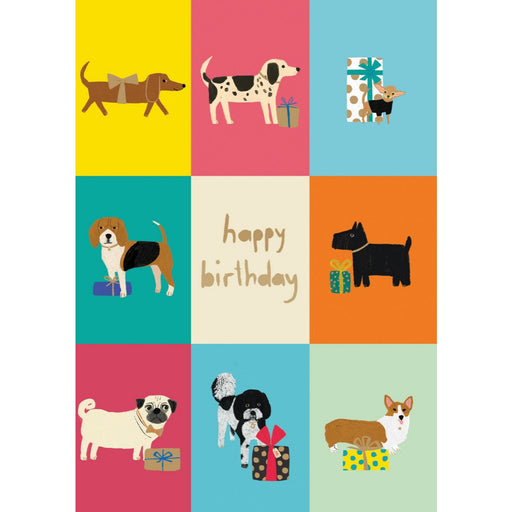 Greeting Card - Dog Checkerboard Birthday