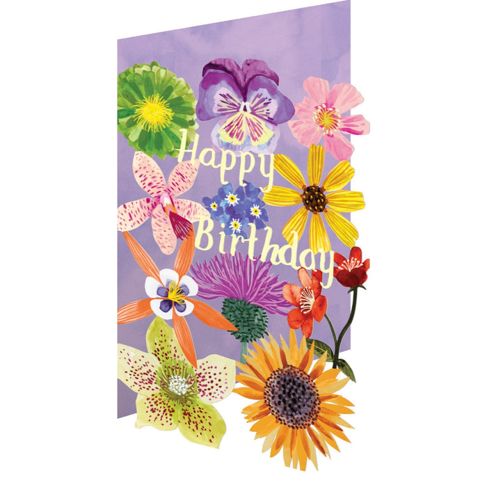 Greeting Card - LC Supernova Birthday