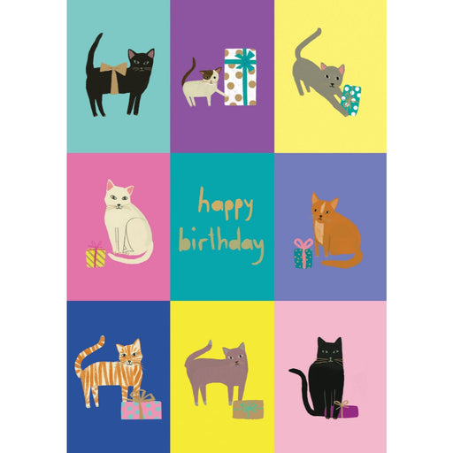 Greeting Card - Cat Checkerboard Birthday