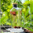 Botanica Fragrance Fleur Diffuser 170ml - Rose