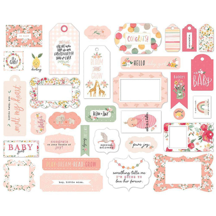 Echo Park Welcome Baby Girl Collection - Ephemera Frames and Tags