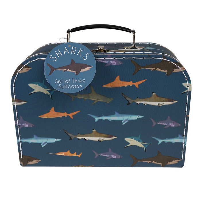 Sharks Storage Cases (Set Of 3)